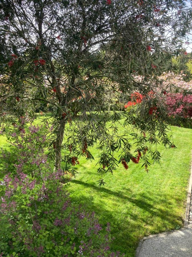 Private Guest Suite Mapua Dış mekan fotoğraf